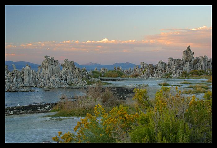 My dream is alive....<br> ( Mono Lake )