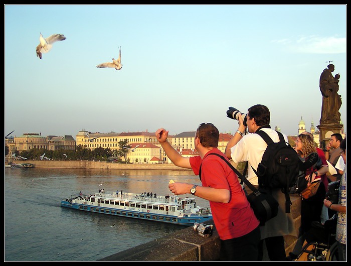 <b>Týmová práce</b>