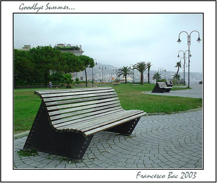 Goodbye Summer...