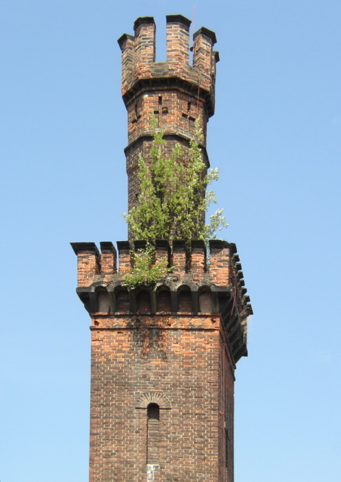 Rostou všude