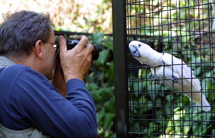 Fotograf a kakadu