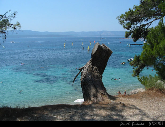 Brač