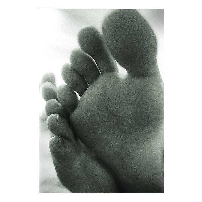 Clovek