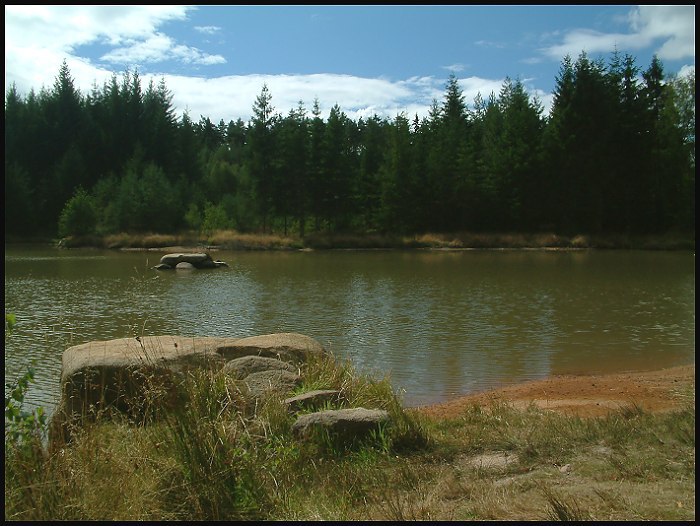 Pustý rybník