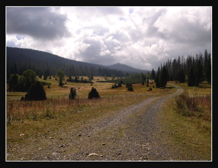 Šumava I.