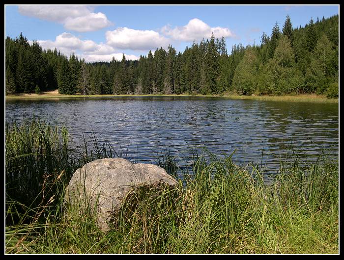 Šumava IV.