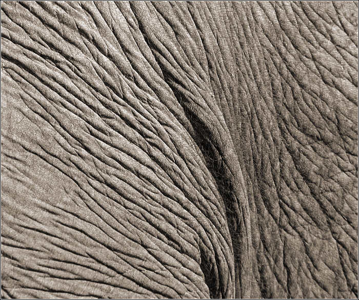 Detail