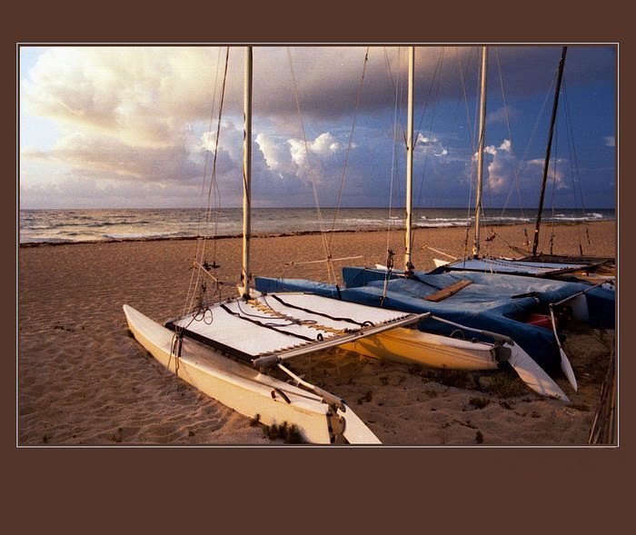 Mořští vlci ještě spí