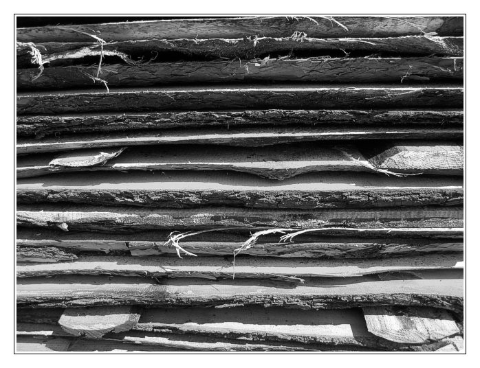 <B>Simply Nature B/W</B>