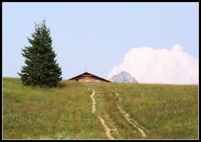 Malá Fatra - strom, chata, skála a mráček