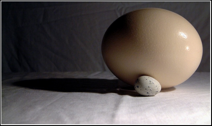 Můžu se trochu přitulit?