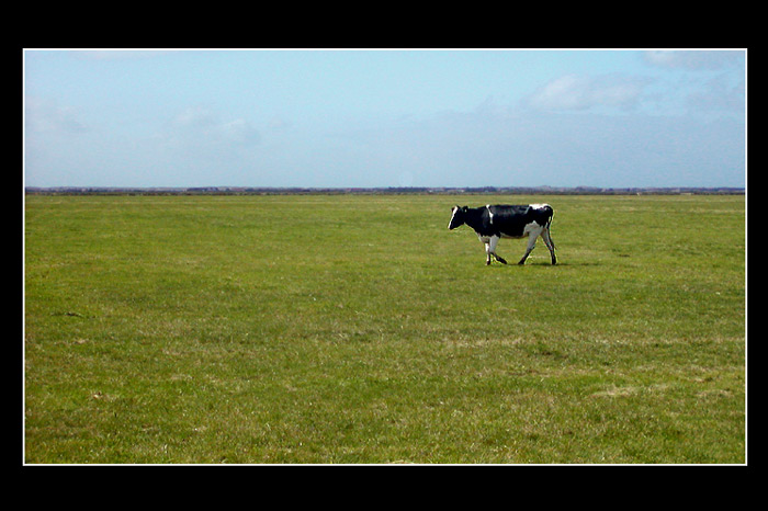 tippere