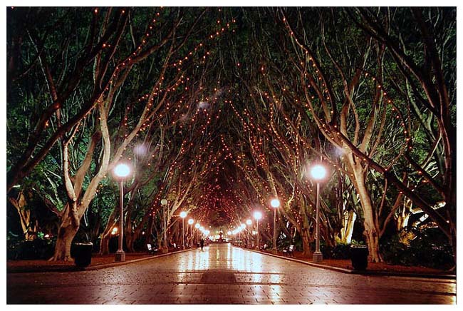 hyde park