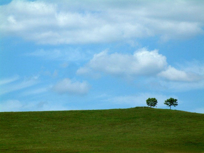 Windowsová tapetovka