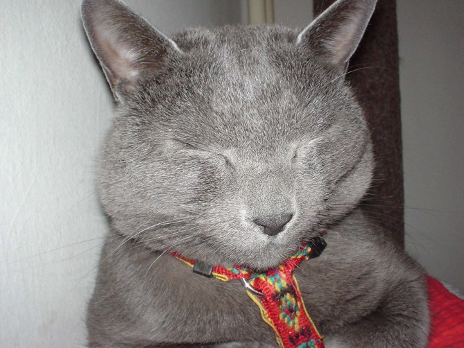 athos