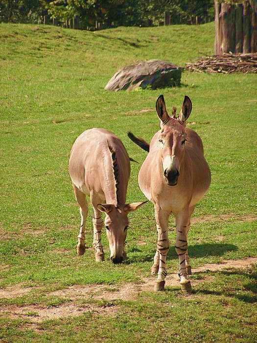 Co z toho focení pořád máte?