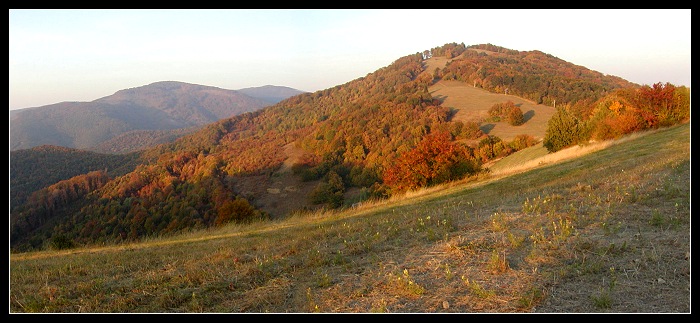 Bezovec