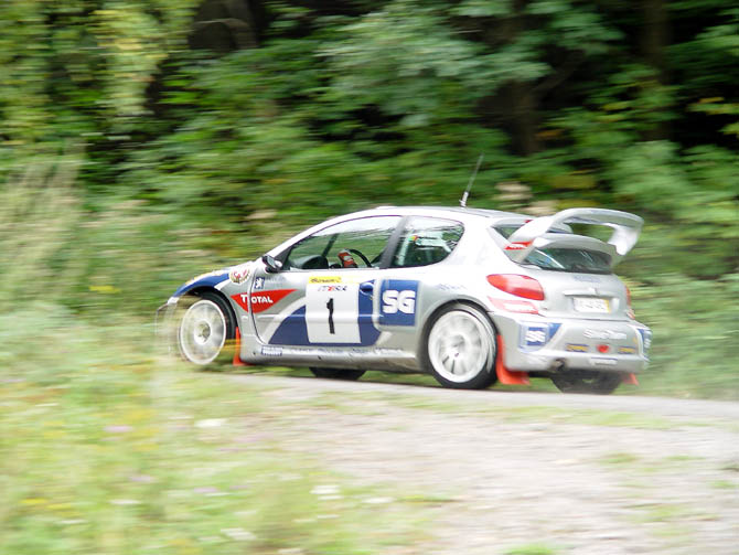 Peugeot 206 WRC -Campos Miguel