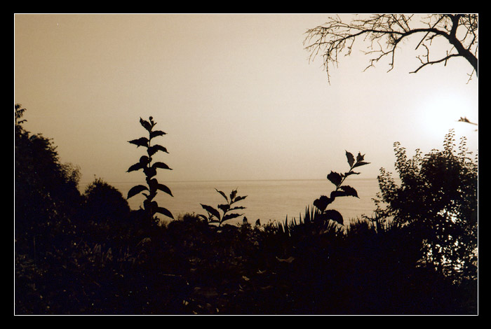 Good morning, Bulgaria