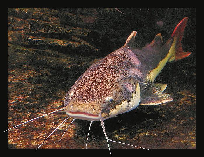 První 3D fotka na PP!