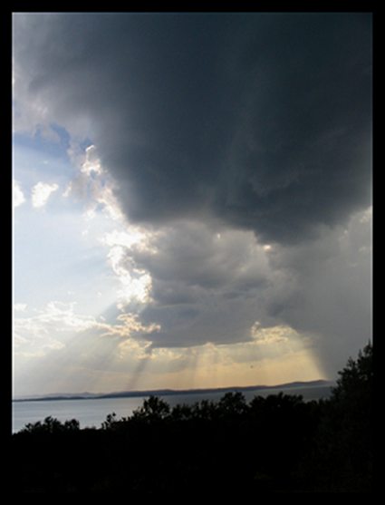 Dalmátske búrkové nebo