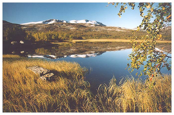 Směr Jostedalsbreen...
