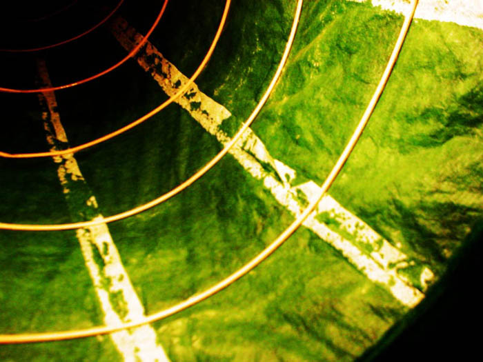 Circularis