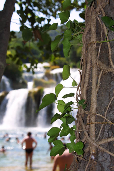 park Krk