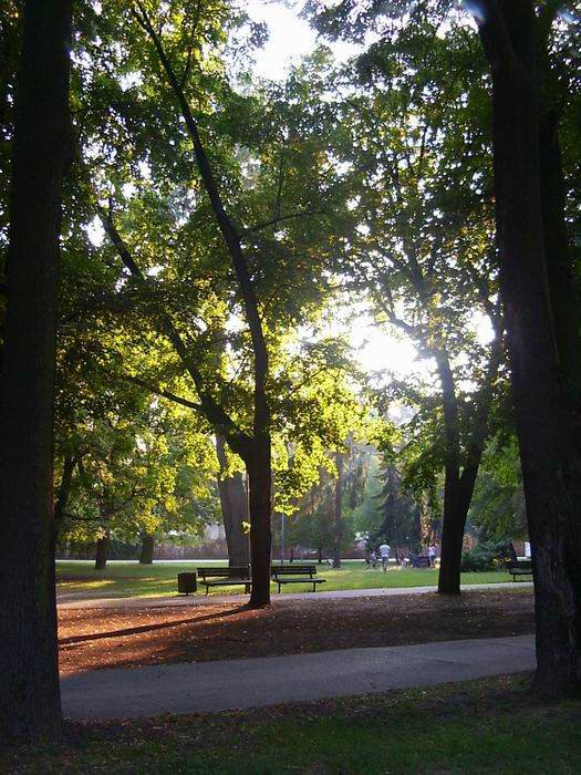 park