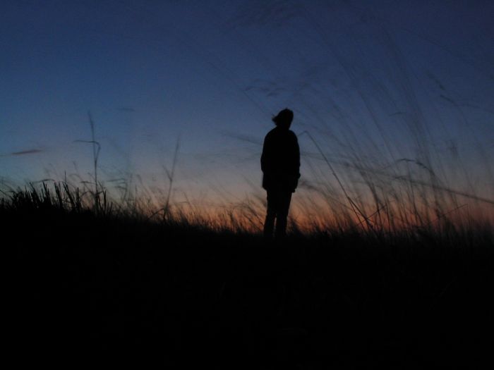 slyšet trávu růst