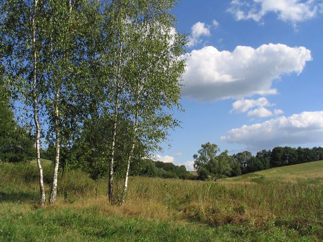 Krajina