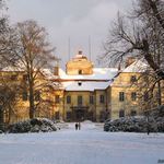 Křimice