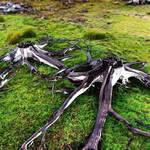 dead ends I.