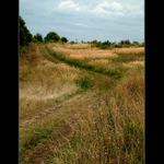 Nez nastaly deste....