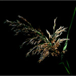 ...slunce a stín...