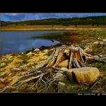 - <b> Před Bouří</b> -