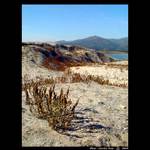 <b> - White sand - </b>czech