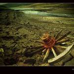 Wild Wild West - Fláje III