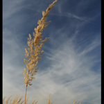 Na pražské periferii