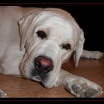 Nechajte ma odpočívam...