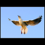 Jen trochu mávnout...