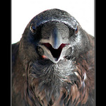 ::vyplazte jazyk, prosim::