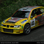 Barum rally: Brůzl (Seat WRC)