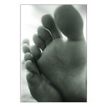 Clovek