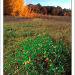 Před západem slunce