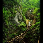 Tiesňava Slovenského ráje