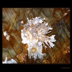 Putování Slovenským rájem V