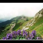 Belianské Tatry-Kopské sedlo