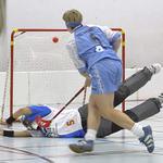 Proměněný nájezd