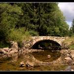 Šumava II.